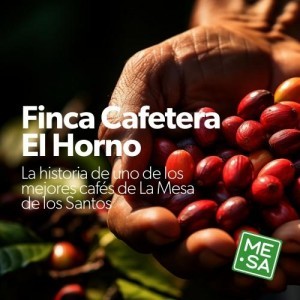 La historia de la finca cafetera El Horno