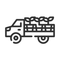Transporte