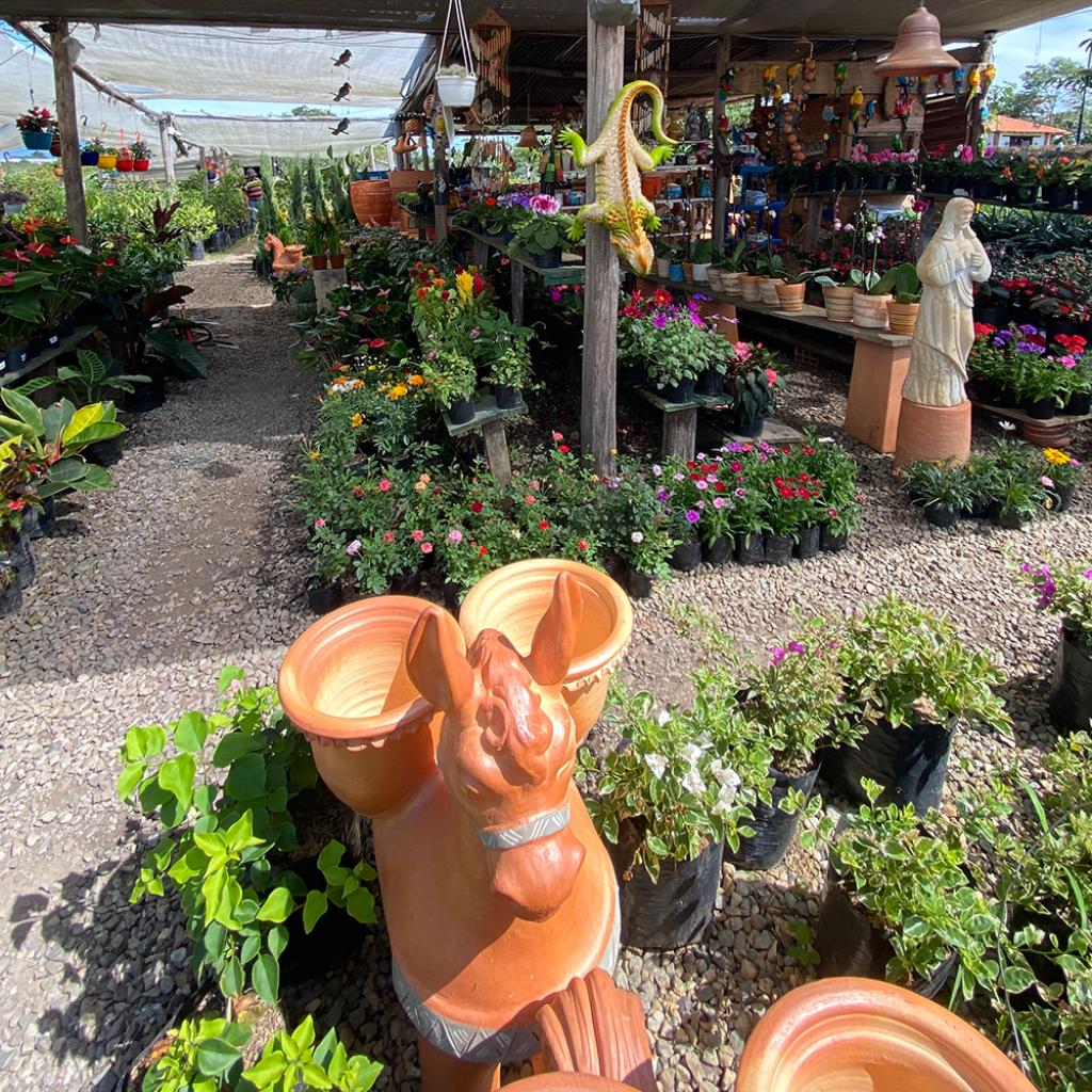 Vivero La Vid en La Mesa de los Santos_2