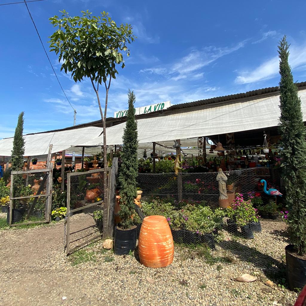 Vivero La Vid en La Mesa de los Santos - El Portal de la Mesa de los Santos Vivero La Vid en La Mesa de los Santos - El Portal de la Mesa de los Santos