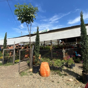 Vivero La Vid en La Mesa de los Santos_1