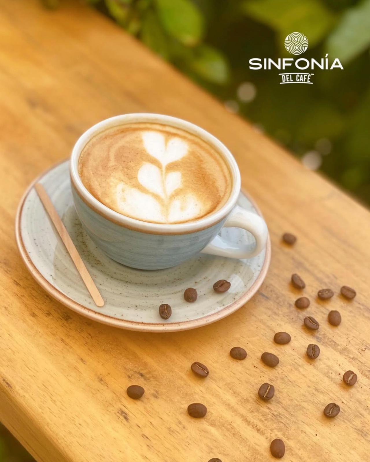 Sinfonia del Cafe en La Mesa de los Santos_4