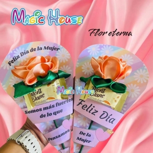 Magic House en La Mesa de los Santos_4