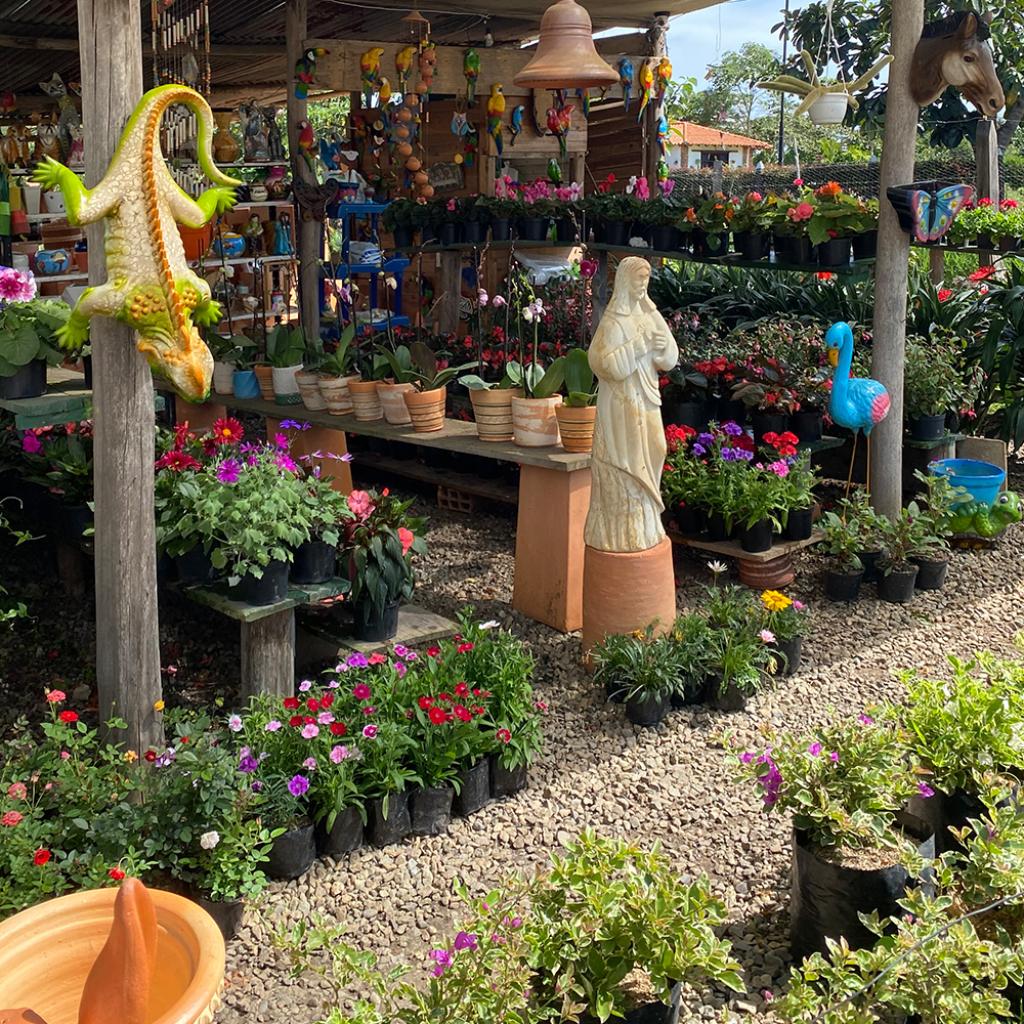 Vivero La Vid en La Mesa de los Santos_5
