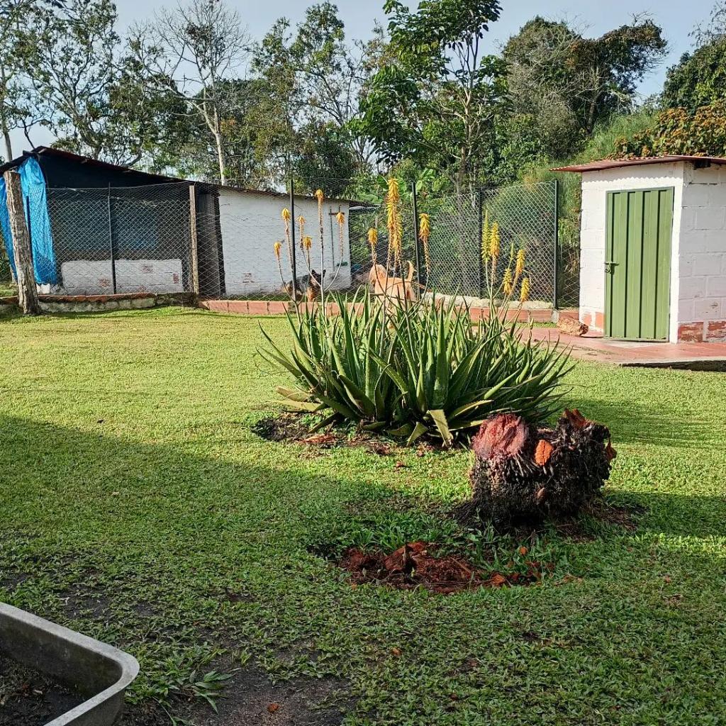 Huellas Hostal Canino en La Mesa de los Santos_1