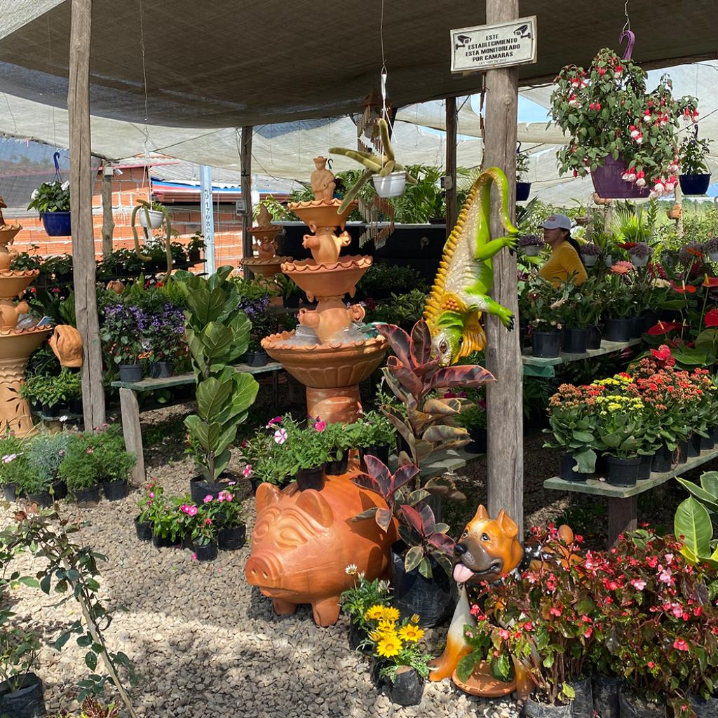 Vivero La Vid en La Mesa de los Santos_4