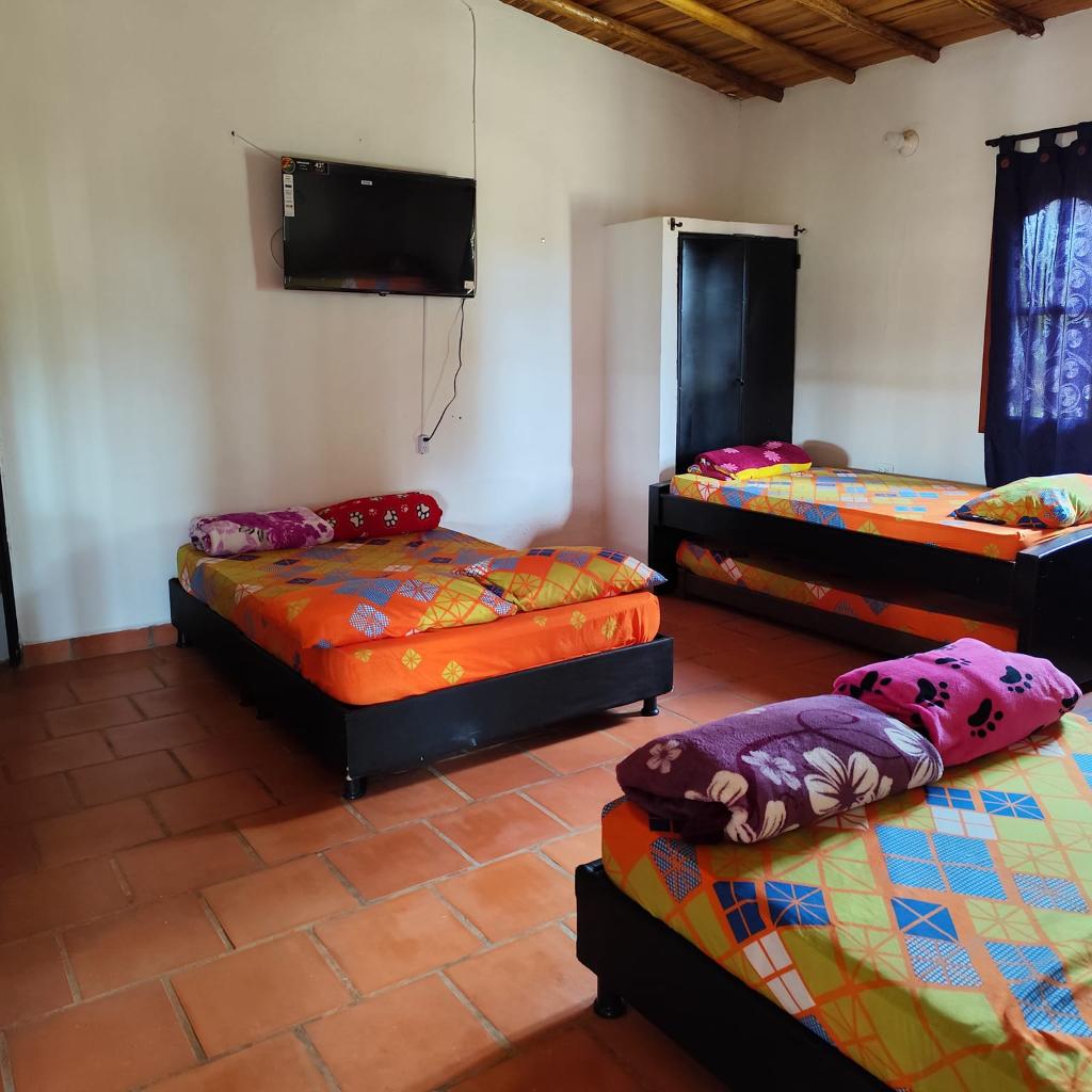 Parcela El Paraíso de Ajanan en La Mesa de los Santos_3