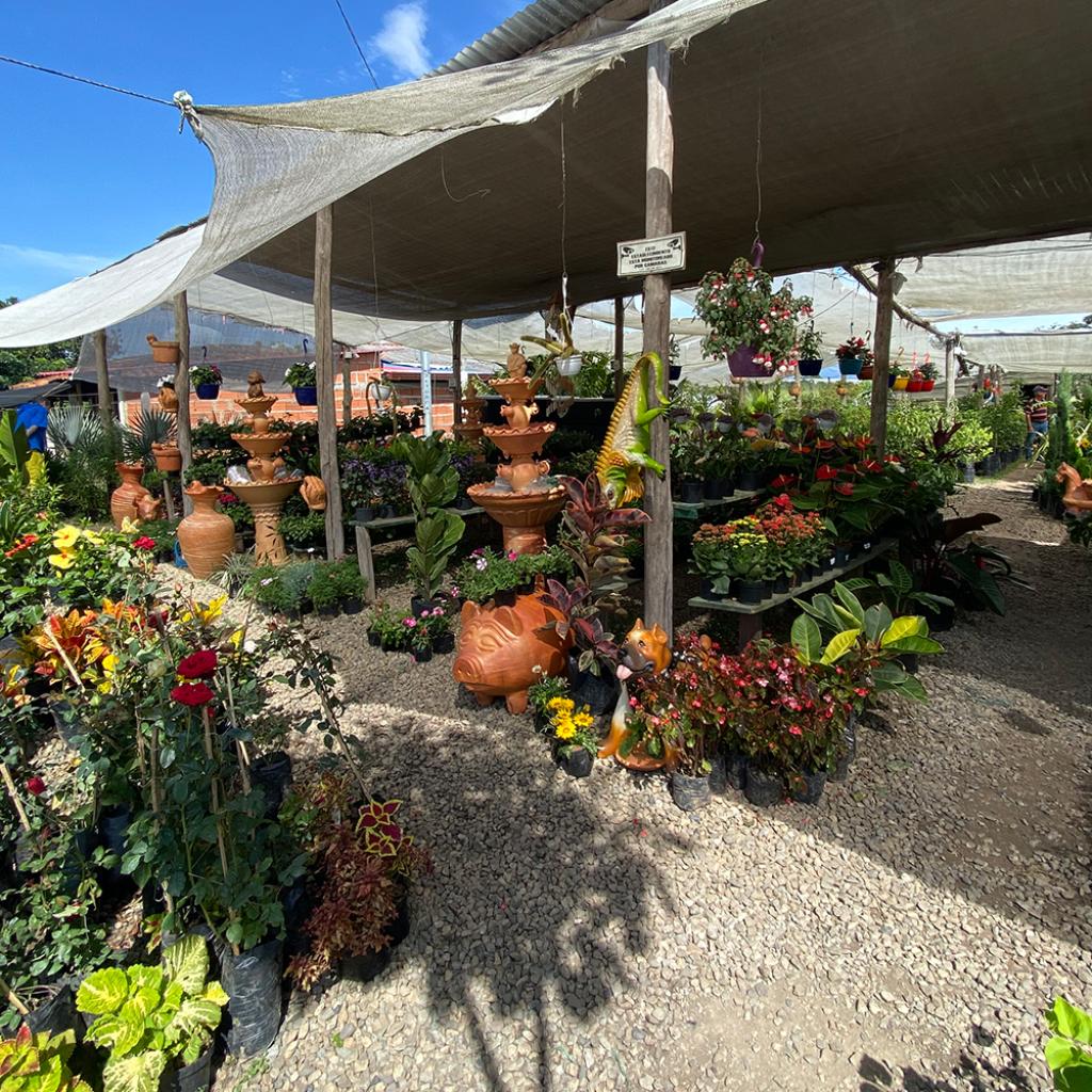 Vivero La Vid en La Mesa de los Santos_3